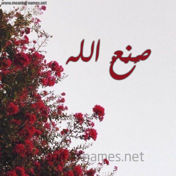 شكل 18 صوره الورد الأحمر للإسم بخط رقعة صورة اسم صُنْعُ الله SONAO-ALLH